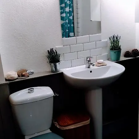 Appartement Dans Une Maison De Famille - Toulouse Centre