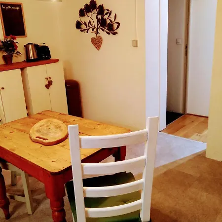 Appartement Dans Une Maison De Famille - Toulouse Centre アパート トゥールーズ
