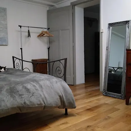 Appartement Dans Une Maison De Famille - Toulouse Centre *